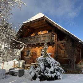 KlauBär - Hütte, Hotel in Steirisch Laßnitz