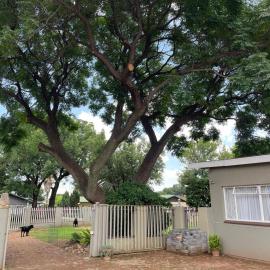 Shady Seringa Accommodation, hotel in Vanderbijlpark