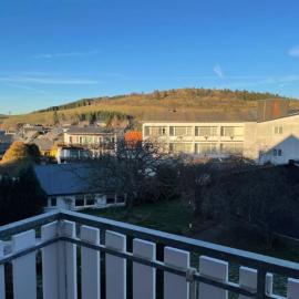 Ferienwohnung Hoher Pön, khách sạn ở Willingen