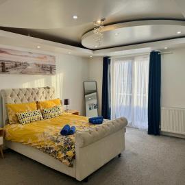 Modern Elegant Home