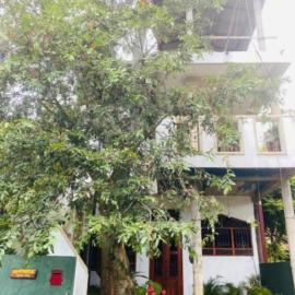 Harbour Bay Anex, hotel u gradu Tangale
