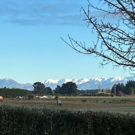 Gem bed and breakfast, hotel in Christchurch