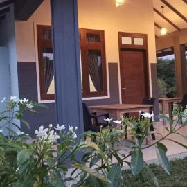Wild Night Hostel Sigiriya