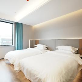 Vacation Business Travel Hotel Shanghai 威科逊商旅酒店, hotel v Šanghaji