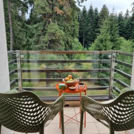 Private Studio Pine Whisper 4 pax in Euphoria Club