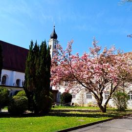 Kloster Altenhohenau FHN, hotel em Griesstätt