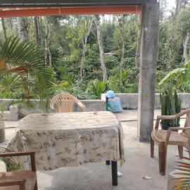 Dreams home estate stay coorg, Hotel in Suntikoppa