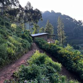 Rubuguri community home, hotel in Rubuguli