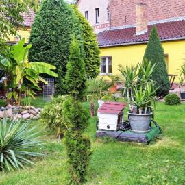 Apartment Gemütliche Wohnung mit Terrasse by Interhome, hotel a Herzberg