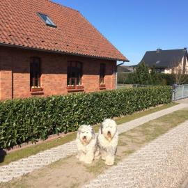 Holiday Home Gemütliches Ferienhaus in Godow mit Terrasse by Interhome