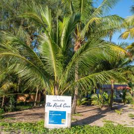 The Rock Coco Villa