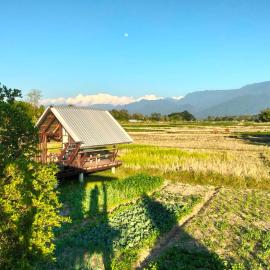 Ricefield Homestay มองนาภูคาน่านโฮมสเตย์, hotel a Ban Thon (1)