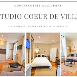 Aux'Cerfs - Studio coeur de ville