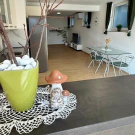 브르흐니카에 위치한 호텔 Pija's apartment, a quiet getaway close to Ljubljana