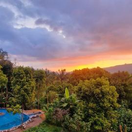 Garden Of Munduk