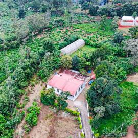 Wintop Holiday Bungalow & Eco Farm