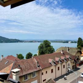 Duplex face au lac d'Annecy, hotel in Veyrier-du-Lac