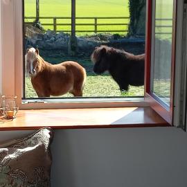 Glenrigh Luxury 2-bedroom Cottage Cahir, Hotel in Cahir
