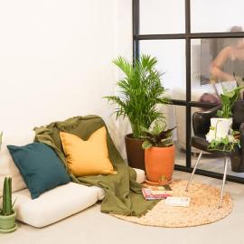 Tiny home Pana B Private residence 10mins beach
