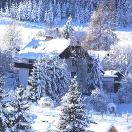 Zirbitzblick