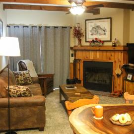 Whistlepunk 45- Modern comfort with Mountain Charm-1 bedroom, hotel i Snowshoe