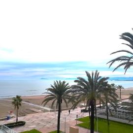 Florazar 3, 3-C