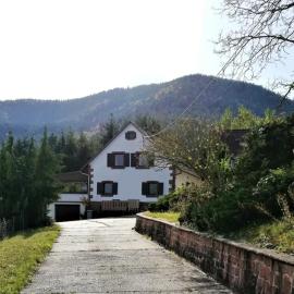 Gîte des abeilles du Kohlberg, Hotel in Wangenbourg