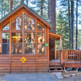 Cabin - Full Kitchen - pet friendly - TV