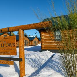 The Willows Cabins, Hotel in West Yellowstone
