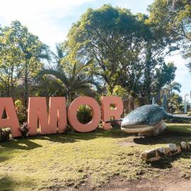 Amor Farm Beach Resort, hotell i Donsol