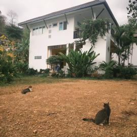 Fluffy Cat Paradise, hotel a Ko Bu Bu
