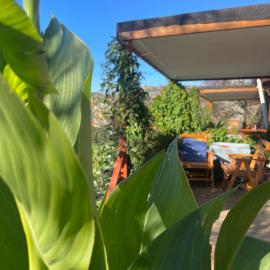 Söğüt Taşlıca Erol Köy Evi, hotel in Taşlıca