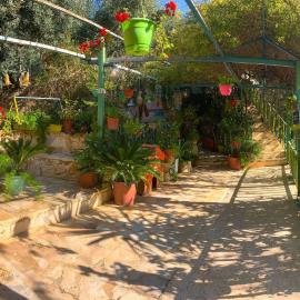 بيت الطبيعة nature house, hotel di Jerash