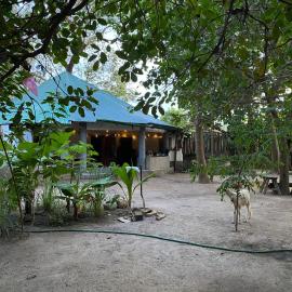 Bush Baby Compound – hotel w mieście Gunjur
