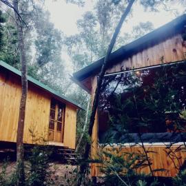 Bosque Venado de Oro，瓜塔維塔的飯店