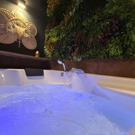 Oasis Suite exotique avec balnéo: Orange şehrinde bir otel