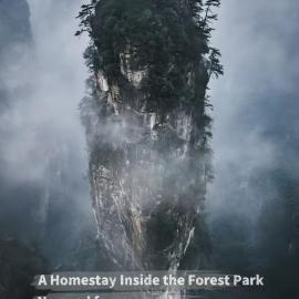 PeakMist Retreat Inside ZhangJiaJie Forest Park, hotel in Zhangjiajie