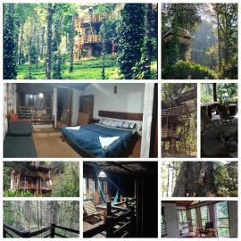 Munnar Tree house and Farm, hotel in Munnar