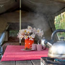 WA Wilderness Camping Experience, Hotel in Pemberton