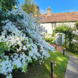 Ashdown Forest character cottage, 18th Century, hotel a Crowborough