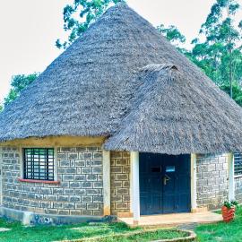 Tropical lodge