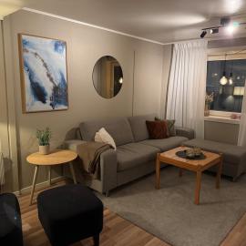 Cozy apartment in the city center