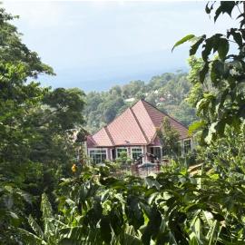 Kilimanjaro Forest Lodge and Camping Site、Mdawiのホテル