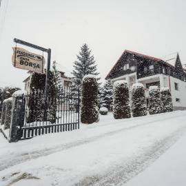Pensiune Borsa, hotel a Borşa