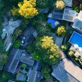 Forest Muse Art Manor-Tea Horse Road, Shuhe Ancient Town Hillside, hotel em Lijiang