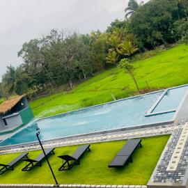 The Wild Elephant Resort