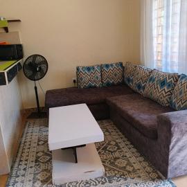 milina homes
