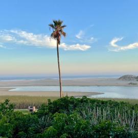 A Slice of Heaven, hotell sihtkohas Seafield