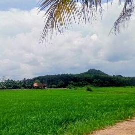Sri Nawa Homestay, hotel in Pokok Sena