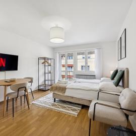 Stylish Studio in Zurich - Crown 11, hotel din Zürich
